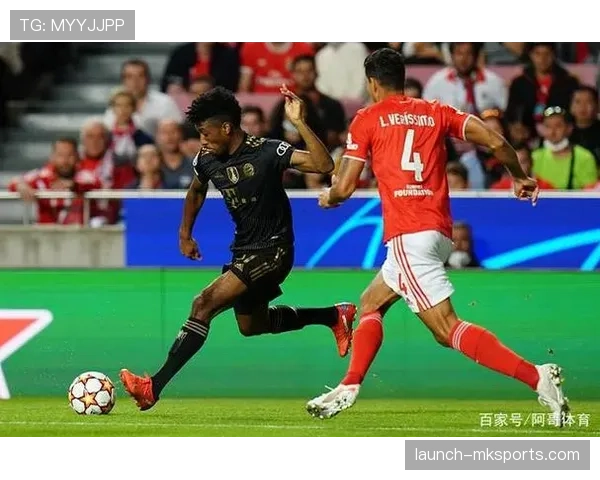 本菲卡防线坚如磐石，连胜势头助推状态持续攀升