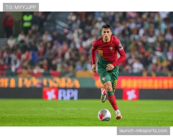 帕利尼亚巅峰期荣誉解析：葡萄牙体育联赛冠军主力